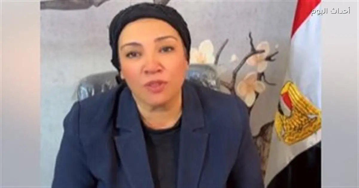 نشوى الديب تعلق على خسارتها في انتخابات النواب 2025