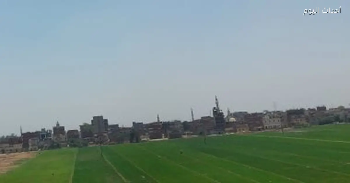 نصائح هامة من الأرصاد للمواطنين حول حالة الطقس المقبلة