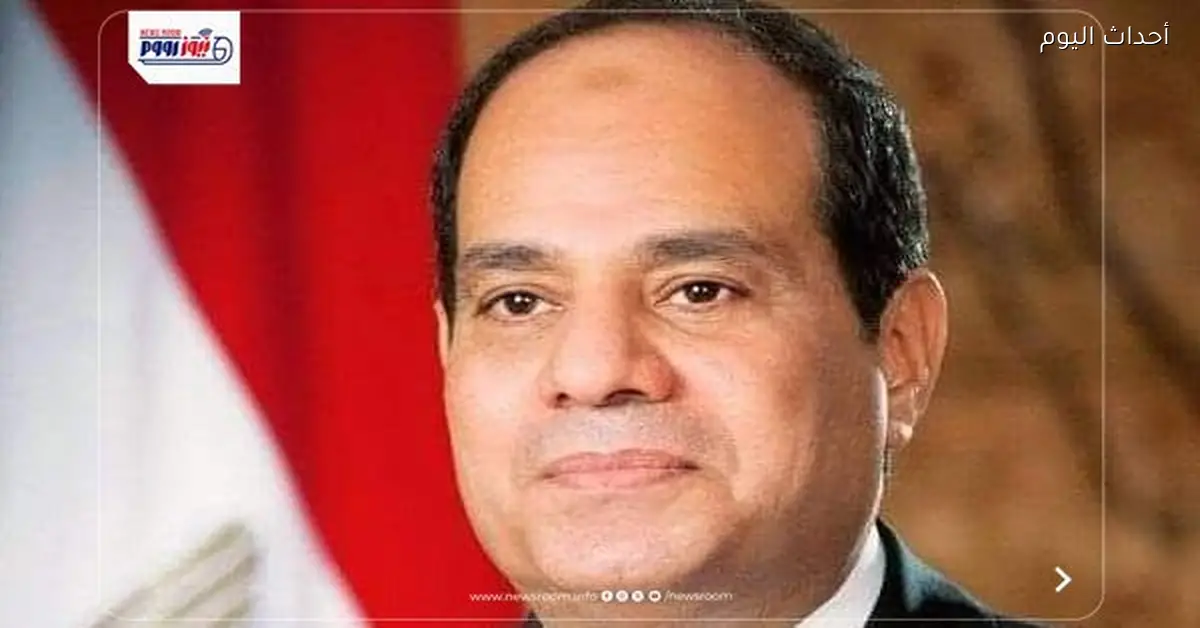 نواب بالشيوخ يثمنون الدبلوماسية المصرية في 2025