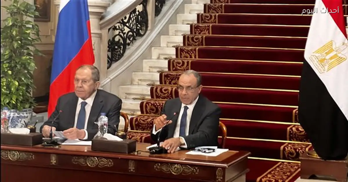 وزير الخارجية يؤكد: الضبعة والمنطقة الصناعية أساس التعاون مع روسيا