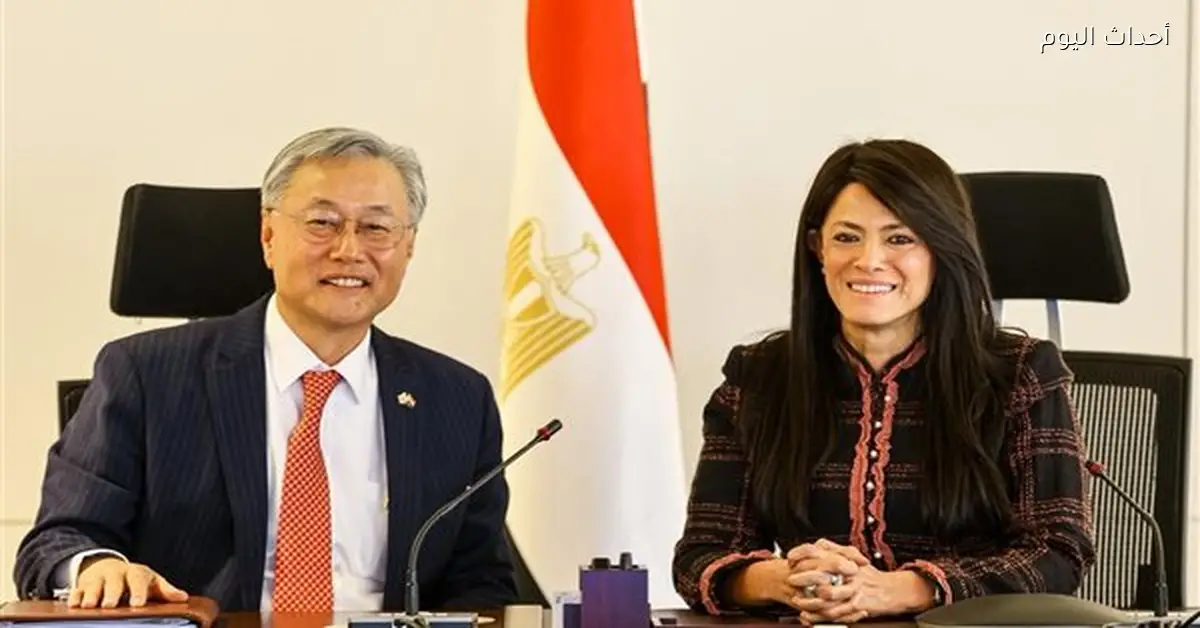 وزيرة التخطيط: التمويلات الكورية تصل إلى 1.3 مليار دولار في 2025