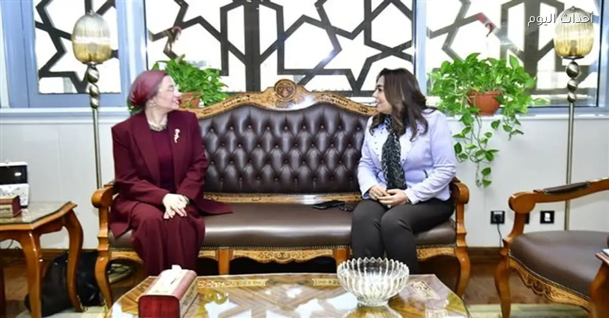 وزيرة التنمية المحلية تناقش مع الأمم المتحدة التصحر وتغير المناخ