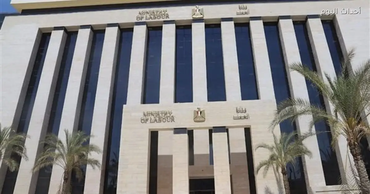 فرص عمل جديدة في الأردن برواتب مغرية من وزارة العمل