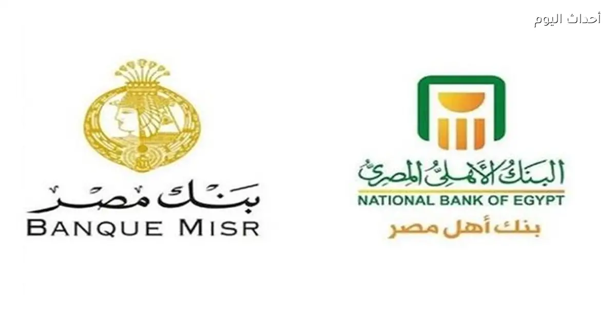 شهادات البلاتينية و«ابن مصر» و«القمة» تعلن عن عوائد جديدة