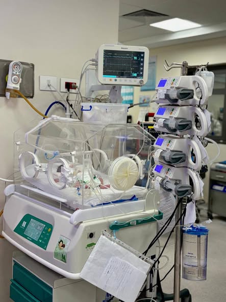 مستشفى فايد التخصصي