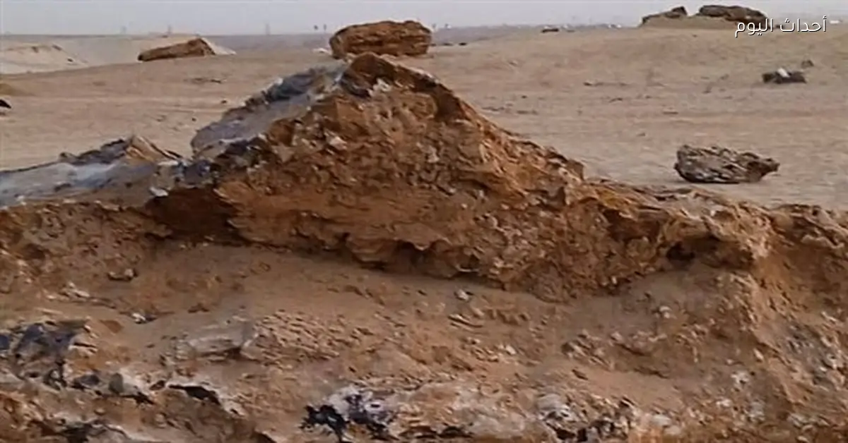 محمية الغابة المتحجرة تحت المجهر بعد جولة وزيرة التنمية المحلية