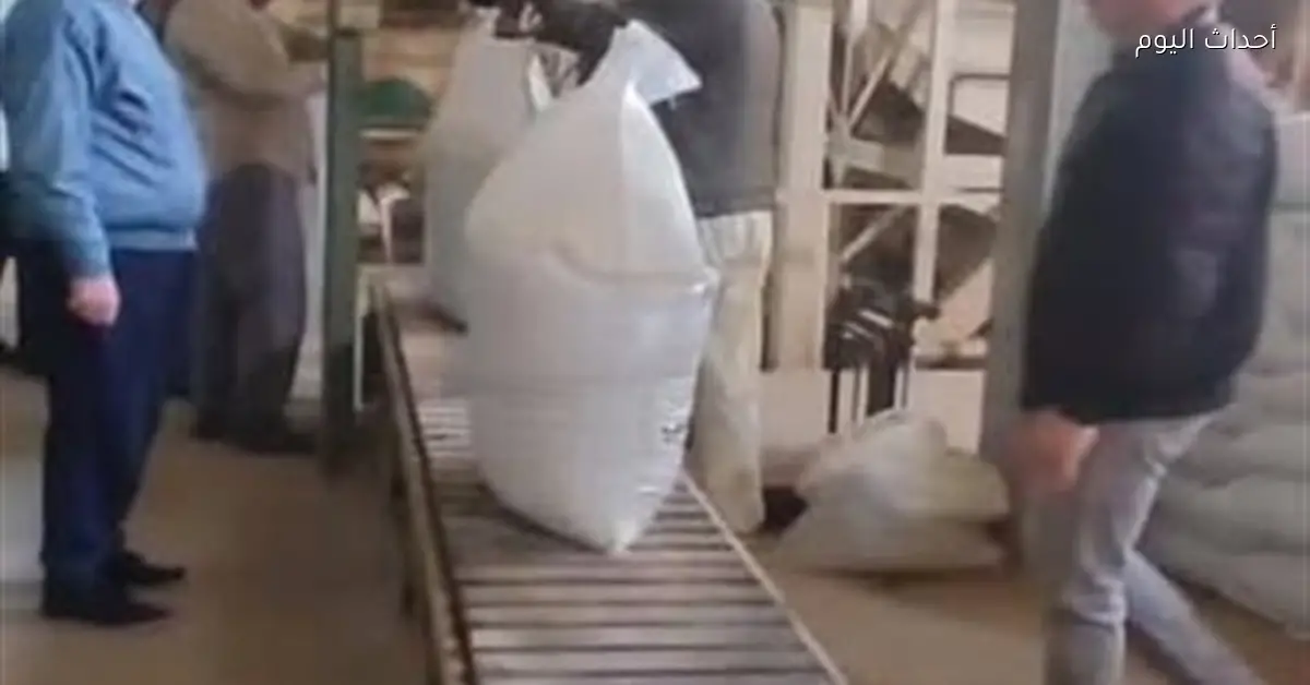 تشغيل مصنع أعلاف أسماك المنزلة لدعم الاستزراع السمكي