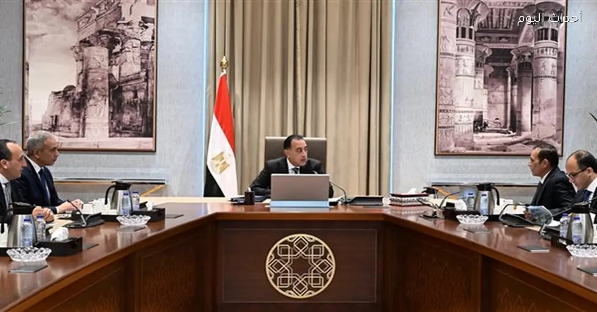 رئيس الوزراء يراجع مشروعات شركة تنمية الريف المصري الجديد