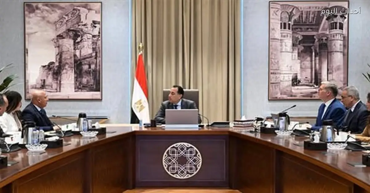 رئيس الوزراء يناقش تعزيز استخدام الخامات التعدينية في مصر