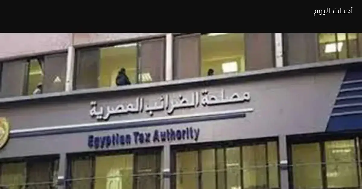 800 مليار جنيه خسائر سنوية والضرائب تقدم 3 نصائح للالتزام وتجنب التهرب