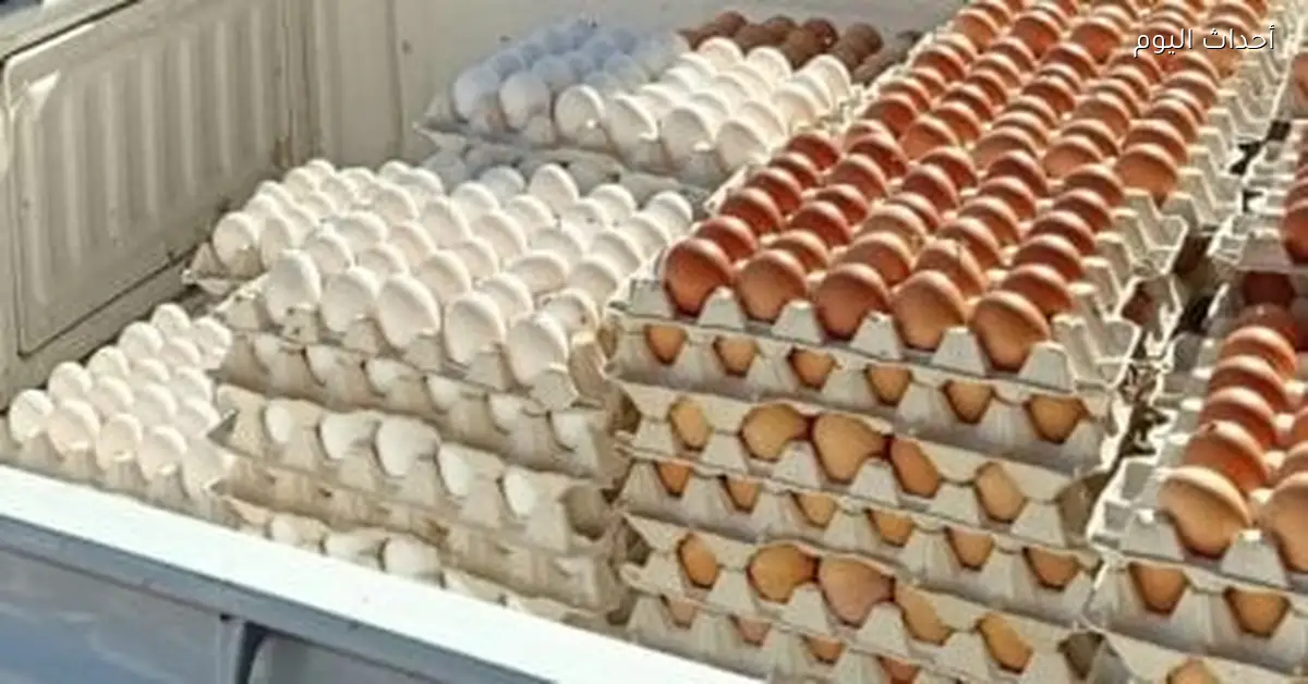أسعار البقوليات والبيض اليوم في سوهاج تتراجع بنسبة 10%
