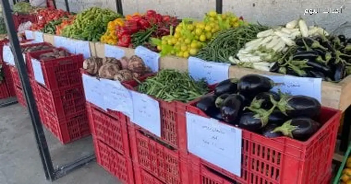 أسعار الخضار والفاكهة في المنوفية اليوم الجمعة 9 يناير 2026
