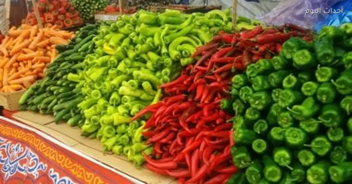أسعار الخضراوات والفاكهة في الفيوم اليوم الأربعاء 25 أكتوبر