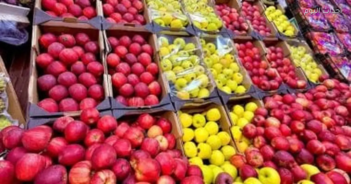 أسعار الخضراوات والفاكهة في قنا اليوم الإثنين تتراجع بنسبة 10%