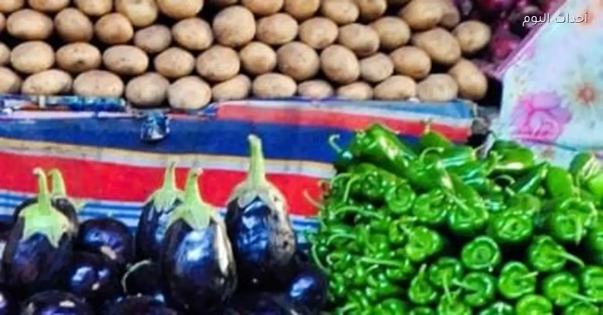 أسعار الخضراوات والفاكهة في كفر الشيخ السبت 10 يناير 2026