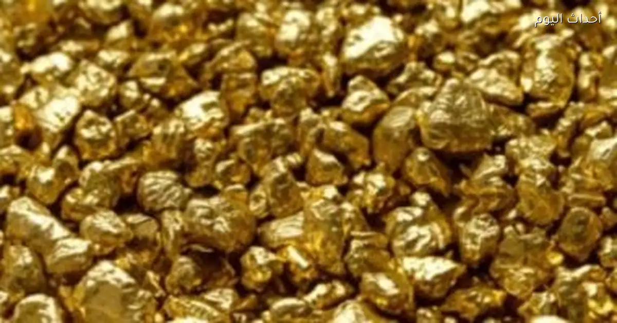 أسعار الذهب في مصر ترتفع بسبب الأحداث في فنزويلا رغم توقف البورصة العالمية