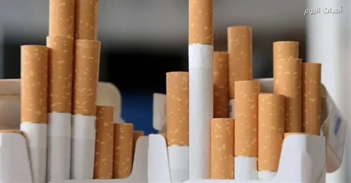 أسعار السجائر اليوم الثلاثاء 13 يناير 2026