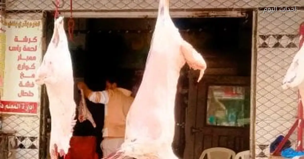 أسعار الفراخ والسمك في سوهاج اليوم الخميس 8 يناير 2026