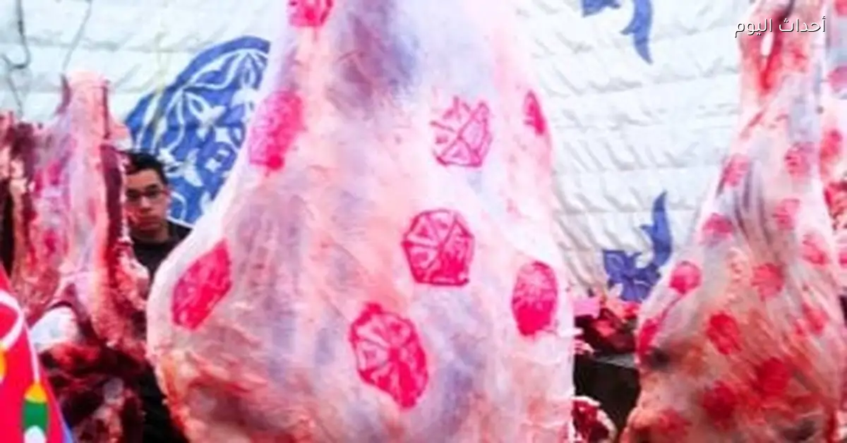 أسعار اللحوم في كفر الشيخ تصل إلى 240 جنيها للكيلو