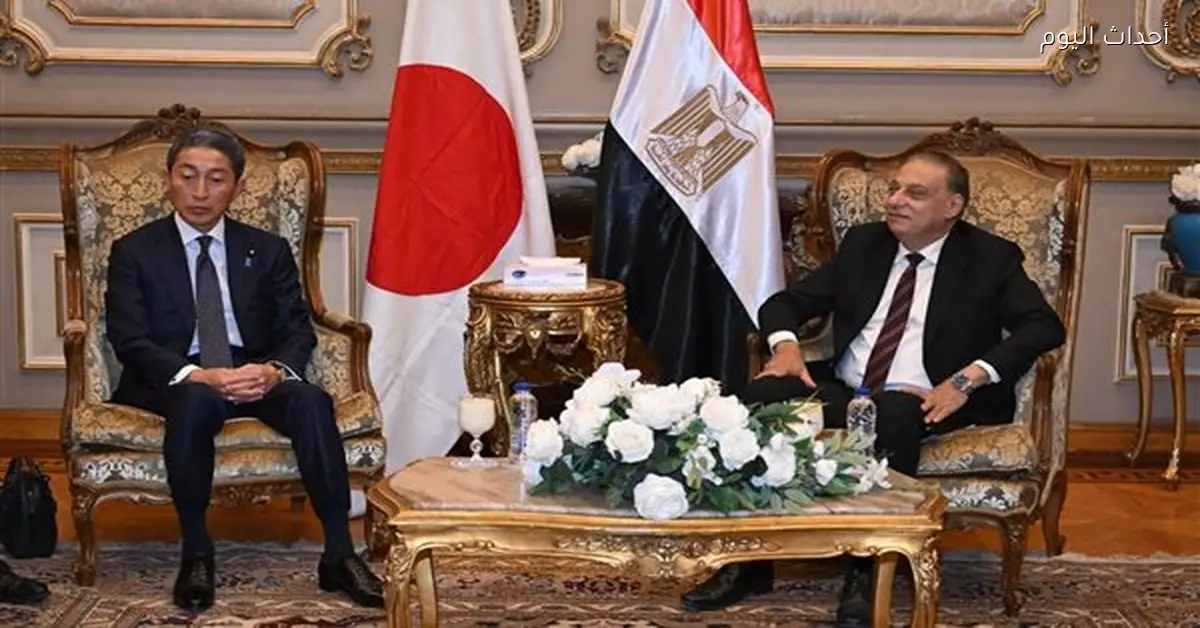 اجتماعات اللجان النوعية بمجلس الشيوخ تناقش قضايا تشريعية ودبلوماسية وثقافية