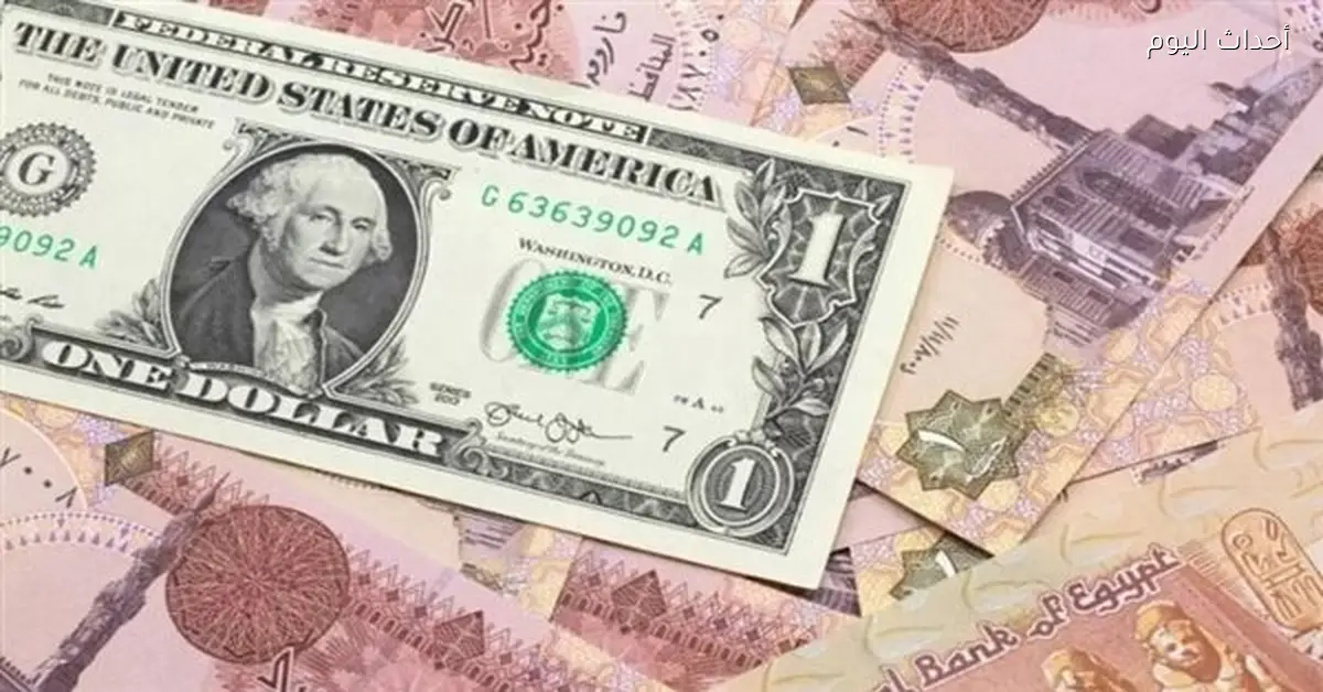 استقرار سعر الدولار أمام الجنيه المصري اليوم 29 يناير 2026