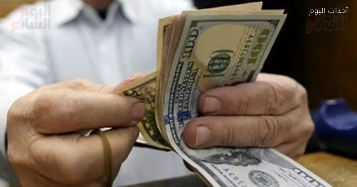 استقرار سعر الدولار أمام الجنيه في البنوك المصرية