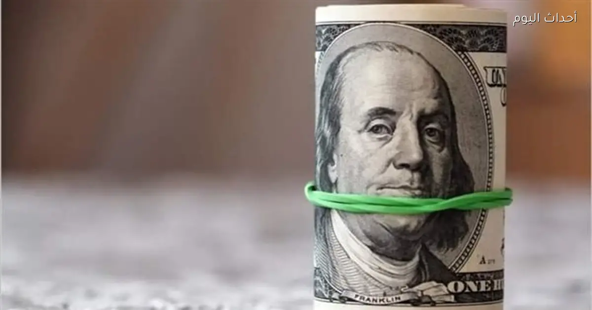 استقرار سعر الدولار مقابل الجنيه المصري اليوم الإثنين 5 يناير 2026