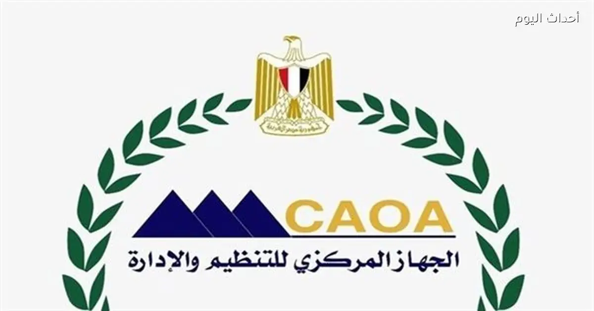 التنظيم والإدارة يعلن نتائج امتحانات وظائف الخارجية