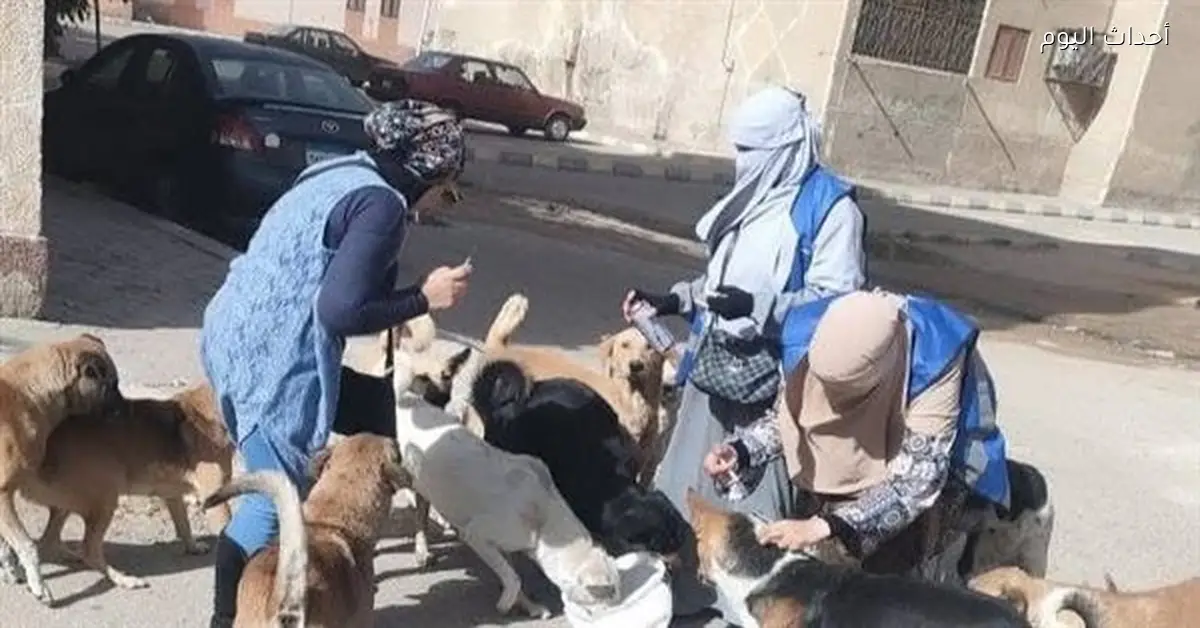 الحكومة المصرية تتخذ إجراءات لمواجهة أزمة الكلاب الضالة