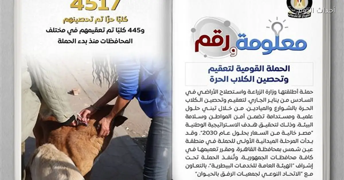 الحملة القومية لتعقيم الكلاب الحرة تحصّن 4517 كلبًا ضد السعار