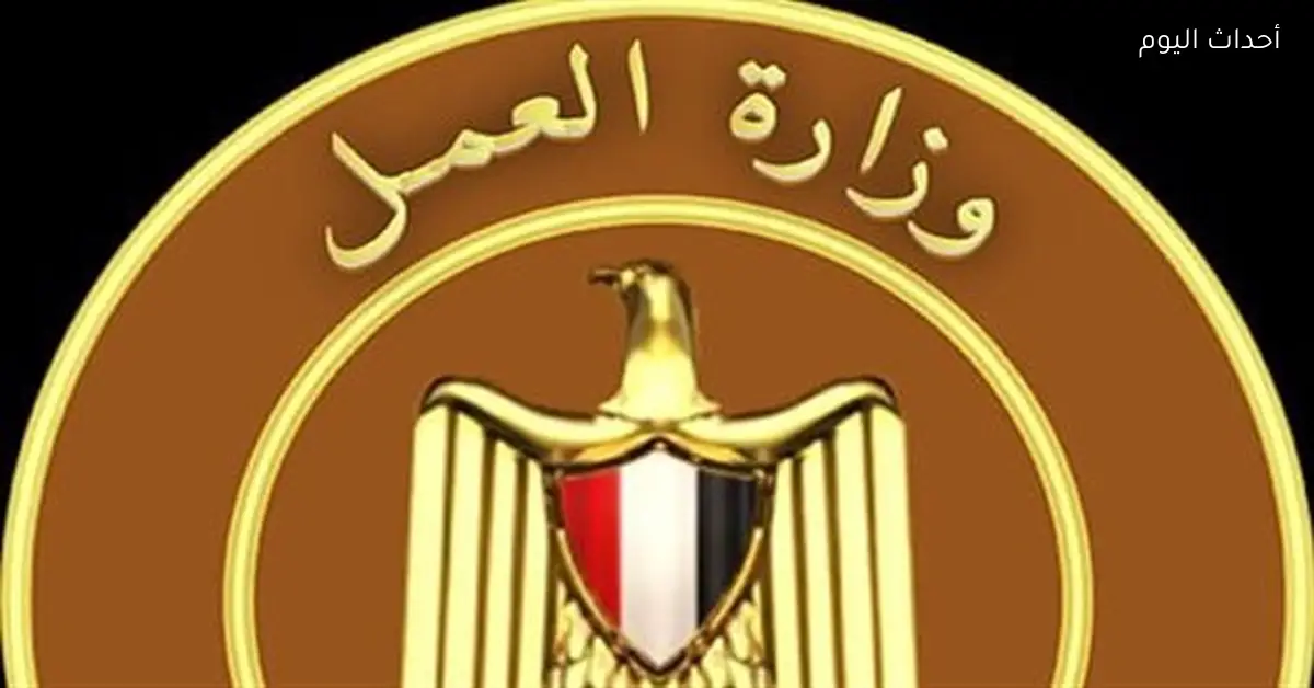 العمل وطلبات مصر يطلقان مبادرة جديدة لأسبوع الأنشطة