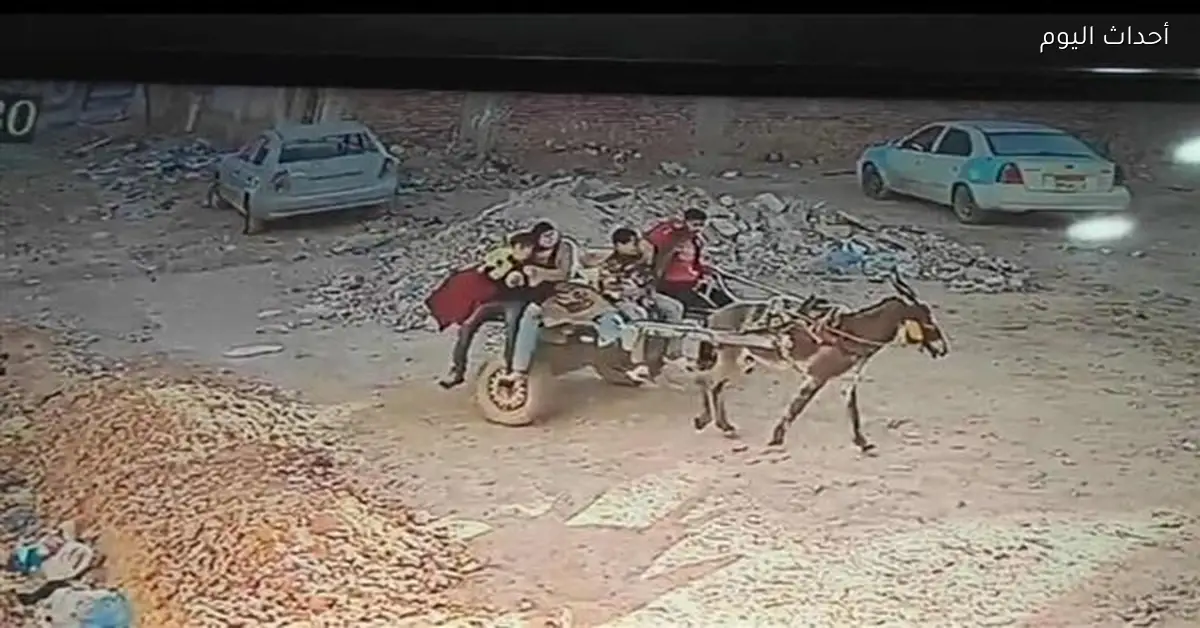 القبض على سيدة وابنها بتهمة سرقة 3 ملايين جنيه في مطروح