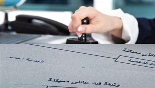 طرق استخراج القيد العائلي 2026.. وأين يمكنك الحصول عليه بسهولة؟ - الوطن