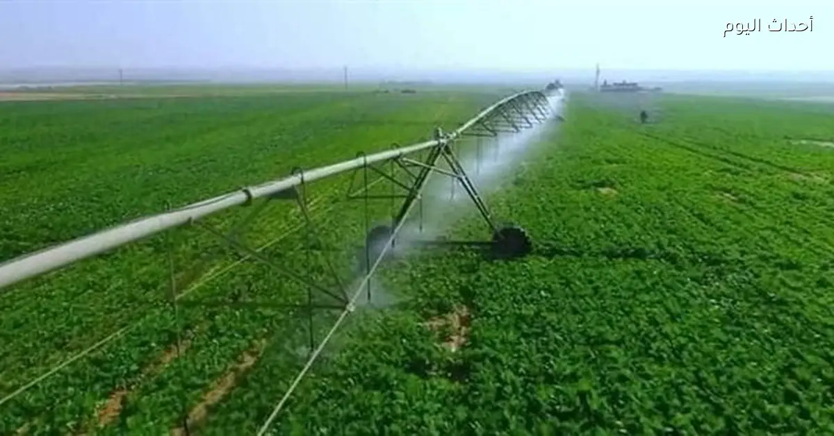 انتقادات لأداء وزارة الري بسبب هدر المياه والمليارات المنفقة