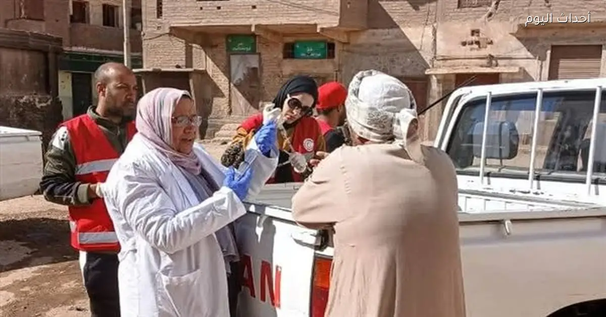 تحصين 20 كلبًا ضالًا في مدينة قنا