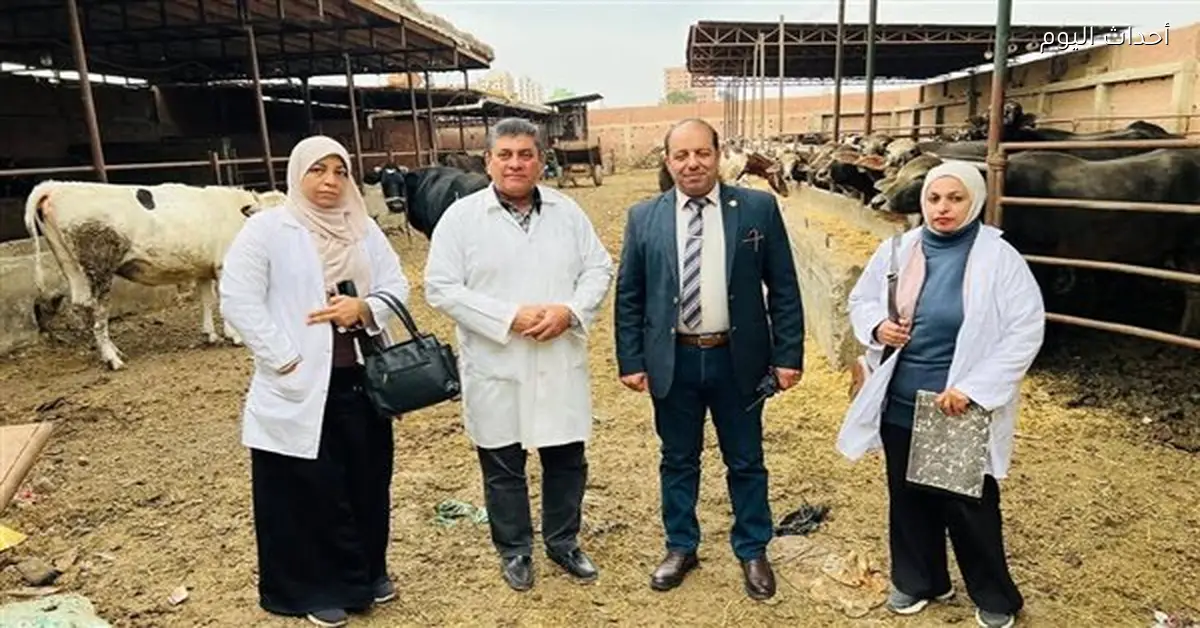 تحصين 68 ألف رأس ماشية ضد الحمى القلاعية بالدقهلية