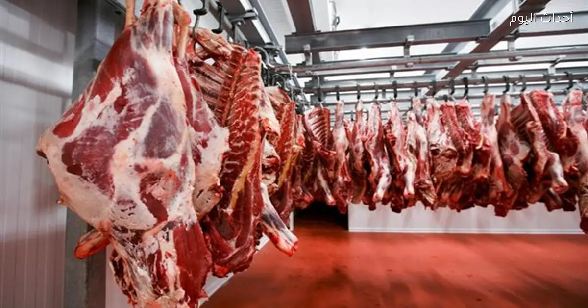 تراجع اللحوم الطازجة يوميًا وزيادة سنوية مستمرة حتى 2026