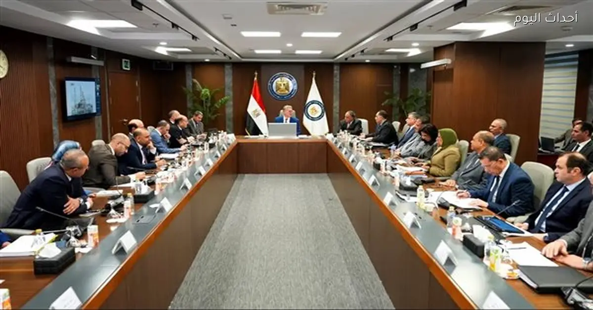 توطين صناعة منتج PVC في قطاع البترول المصري