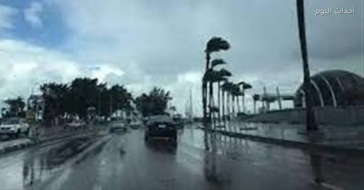 توقعات الطقس في محافظات مصر يوم الجمعة 16 يناير 2026