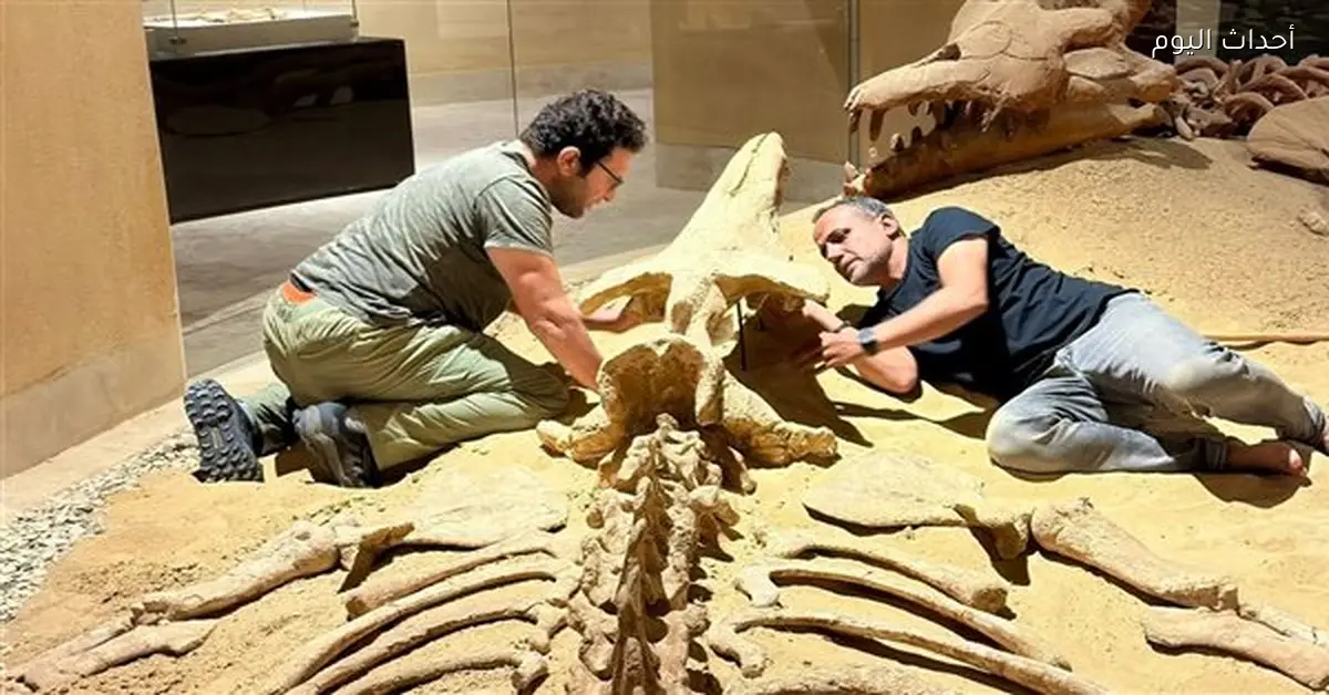 جامعة المنصورة تعزز جهود حماية التراث الطبيعي المصري