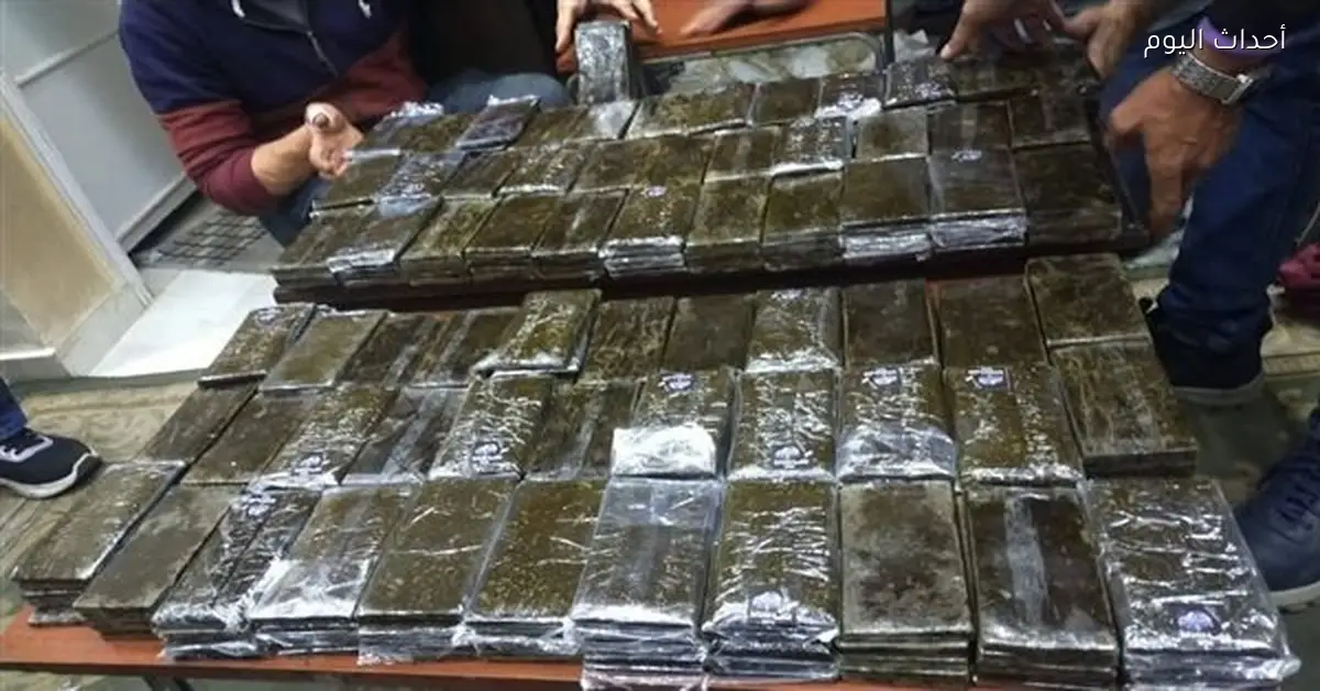 جمارك نويبع تضبط محاولة تهريب مخدر الحشيش