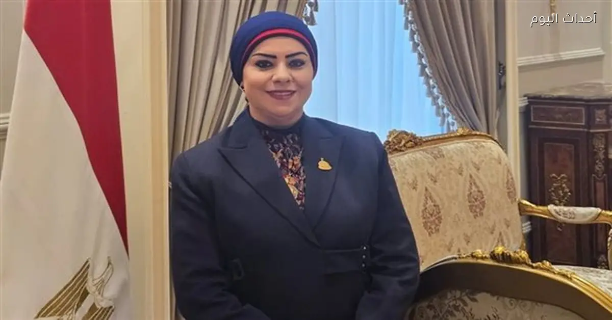 جيهان شاهين: تصريحات الرئيس السيسي تعزز أمان المصريين في زمن الاضطراب