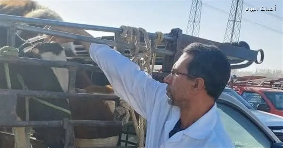 حملة بيطرية لحماية الثروة الحيوانية في الأقصر