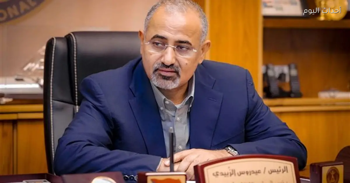 رئيس المجلس الانتقالي في اليمن يعلن عن استفتاء لتقرير مصير الجنوب