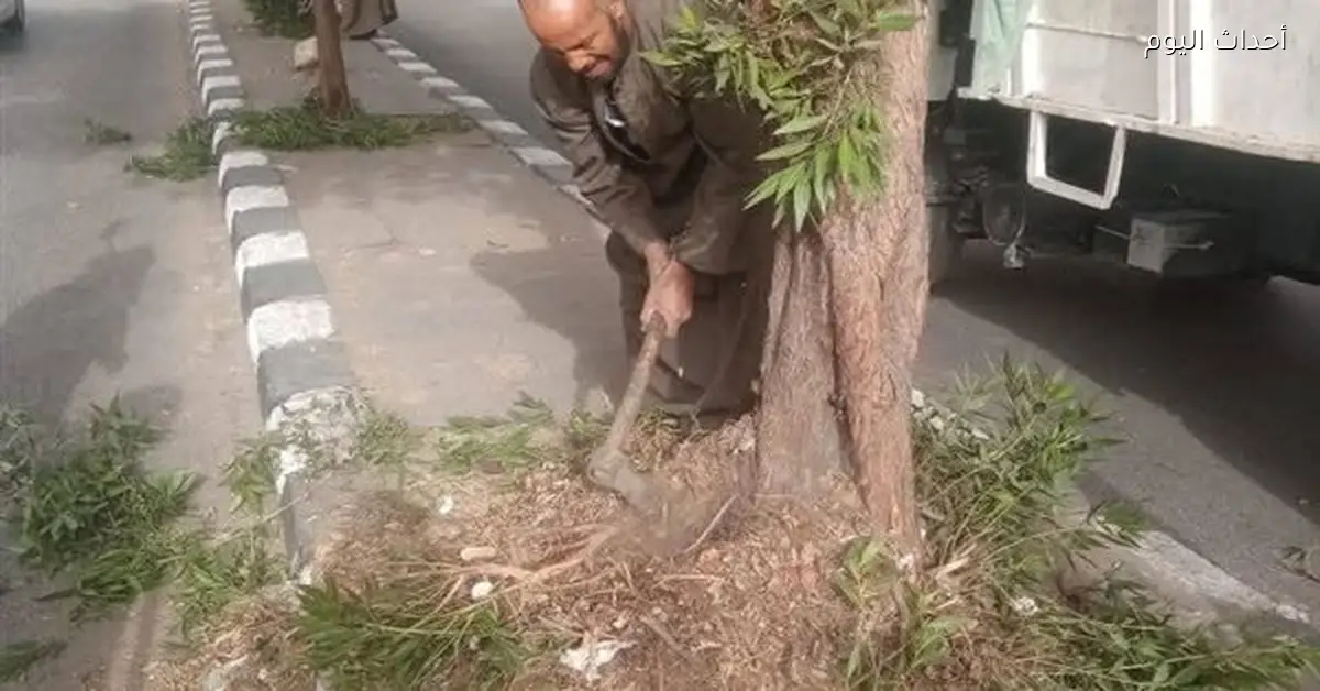 رئيس مدينة قنا يتابع أعمال القسم الزراعي بطريق مصر أسوان