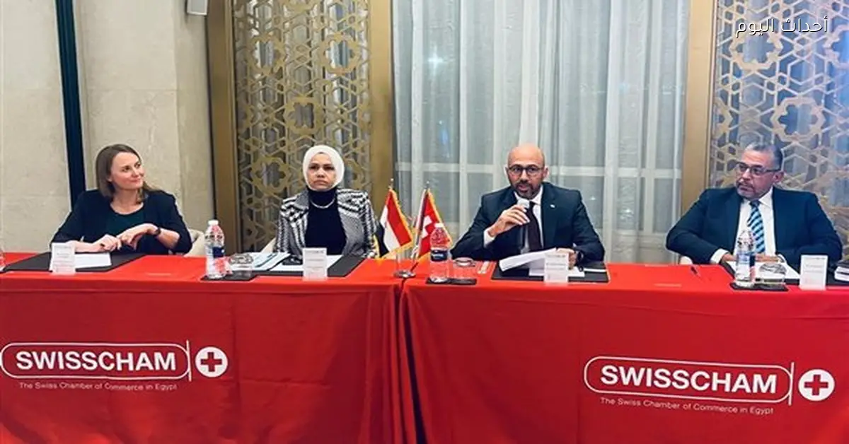 رشا عبدالعال: التحول الرقمي يعزز الالتزام الضريبي