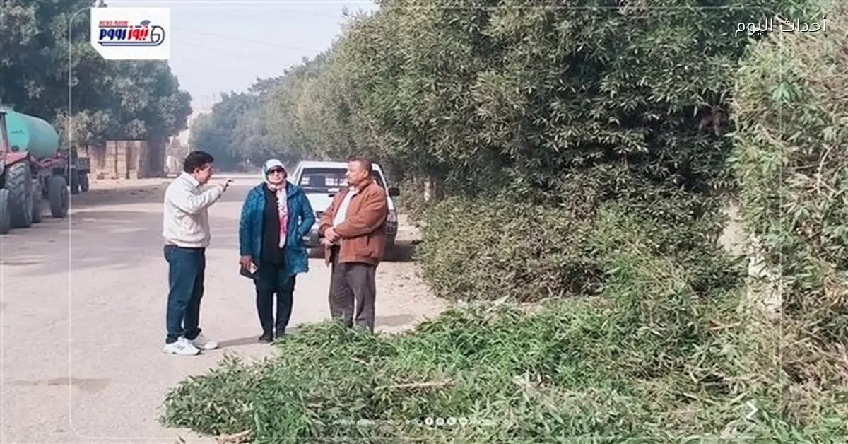 رفع 837 طن مخلفات في حملات نظافة بمركز قنا