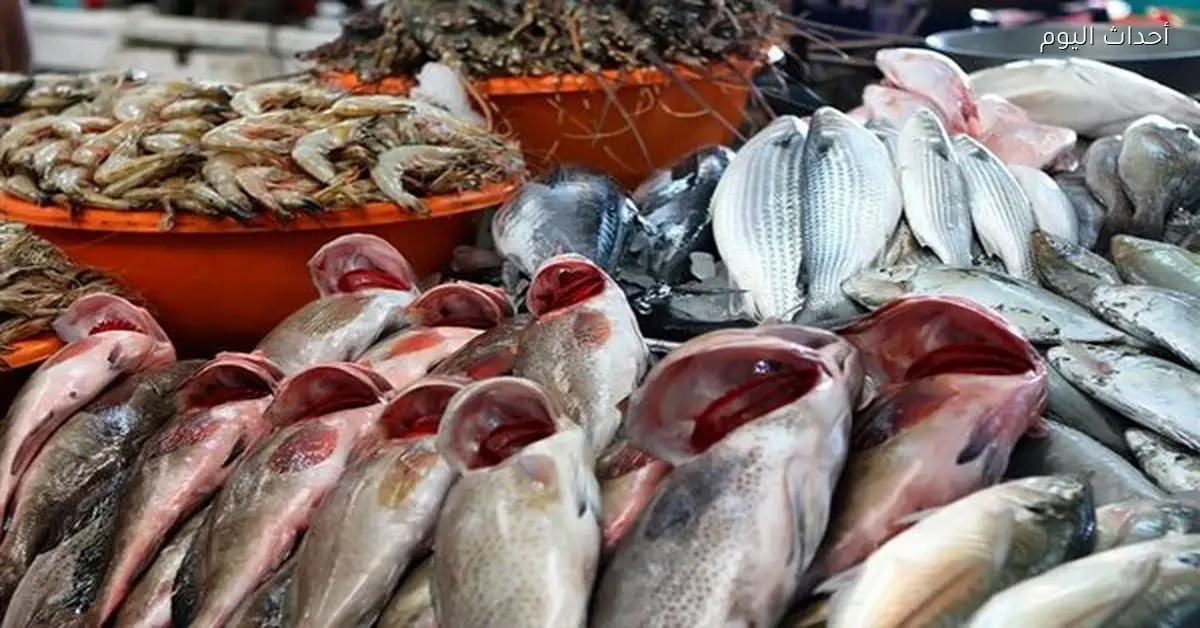 سعر الجمبري يتراوح بين 830 و930 جنيها اليوم