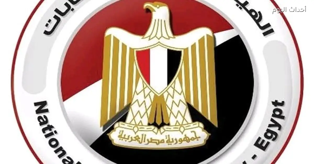 فوز 9 نواب في جولة الإعادة بأسيوط