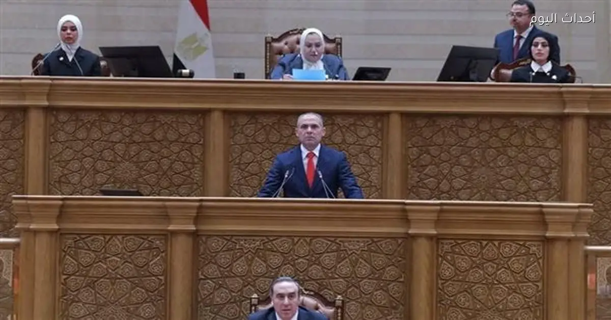 مايا مرسي: المرأة المصرية تحقق إنجازاً تاريخياً في البرلمان